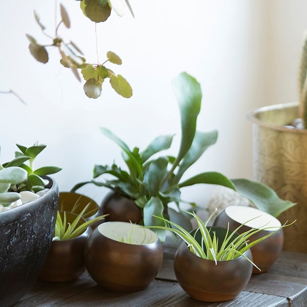 Enamelled metal pot - mustard