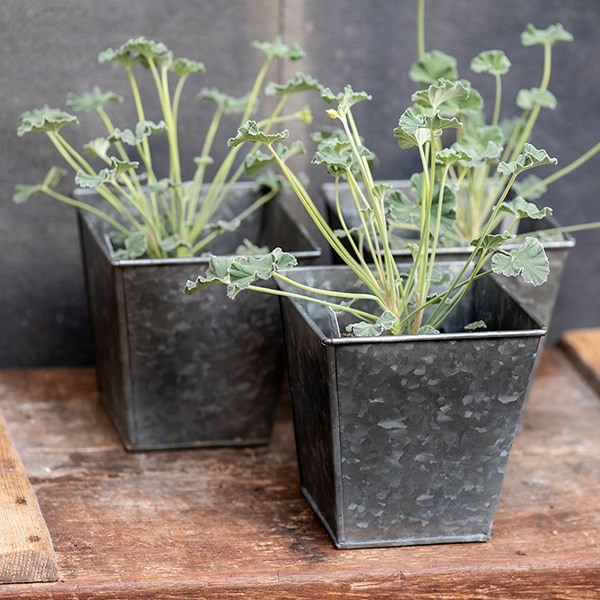 Dark galvanised square pot