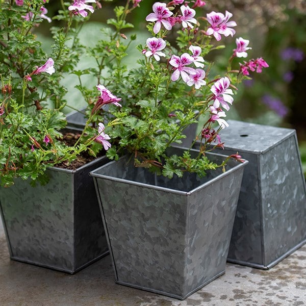 Dark galvanised square pot