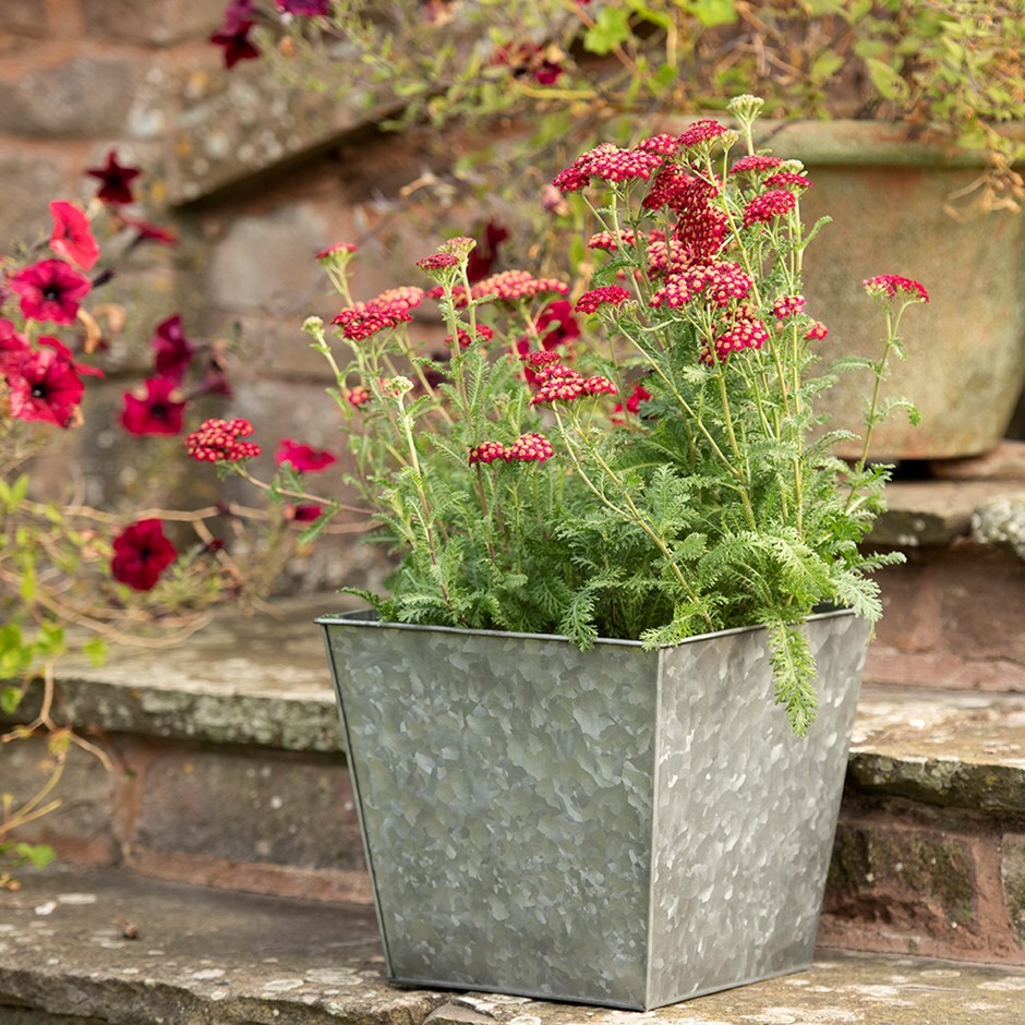 Dark galvanised metal rectangular planter