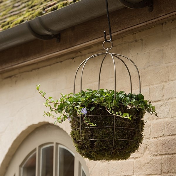 Hanging plant cage - wide