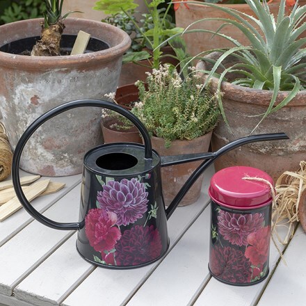 RHS Burgon and Ball British bloom indoor watering can