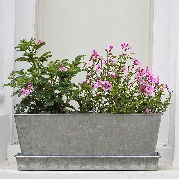 Galvanised window trough