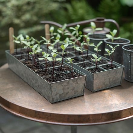 Galvanised metal tray with 12 grow pods