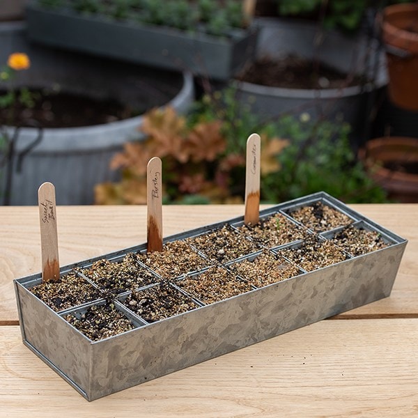 Galvanised tray with 12 grow pods