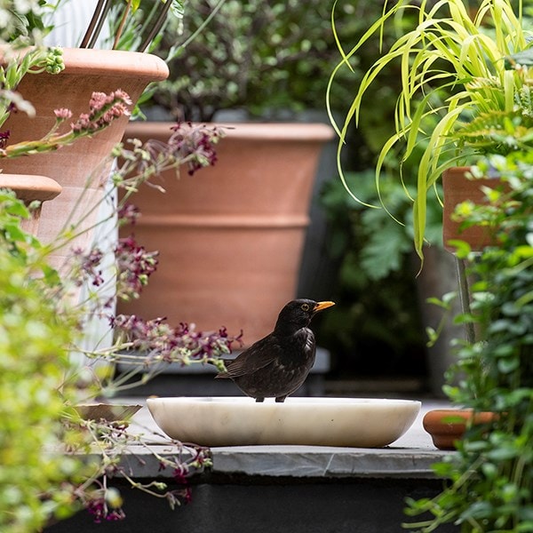 Turned white marble bird bowl