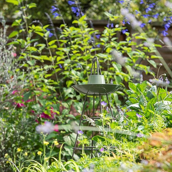 Sweet pea obelisk with bird bowl - Crocus green