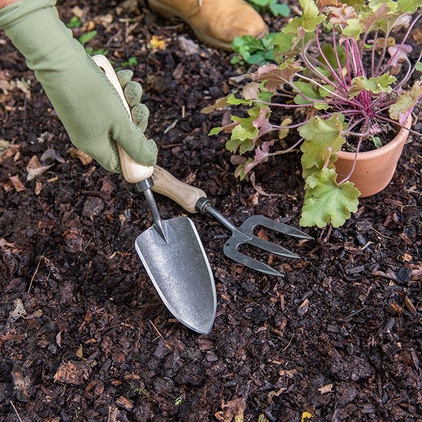 DeWit small hand trowel - ash handle