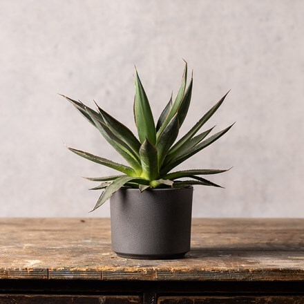 Granite style plant pot - dark grey 