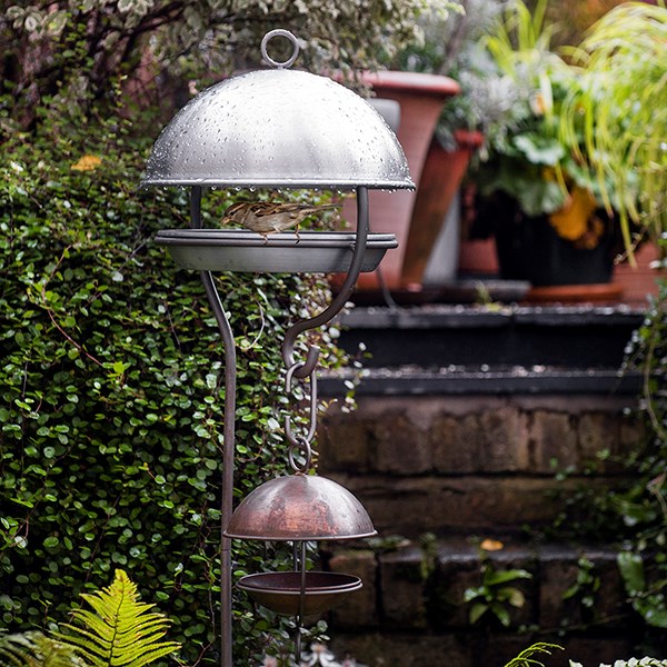 Stake bird feeding dome - brushed aluminium