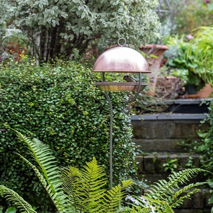 Stake bird feeding dome - brushed copper