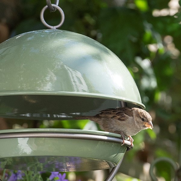 Hanging bird feeding dome - Crocus green