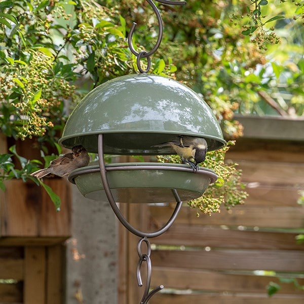 Hanging bird feeding dome - Crocus green