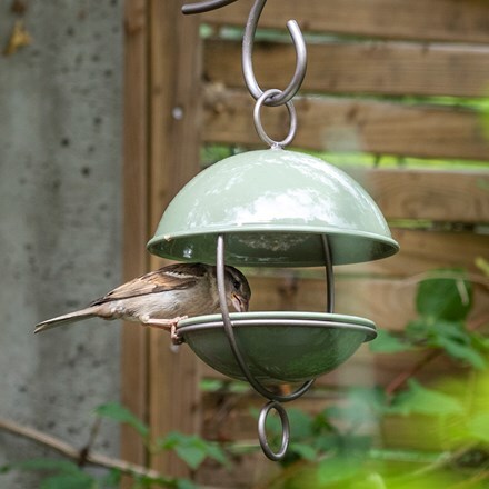 Satellite bird seed feeder - Crocus green