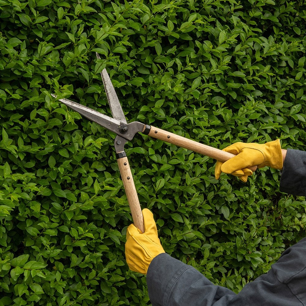 Niwaki garden shears