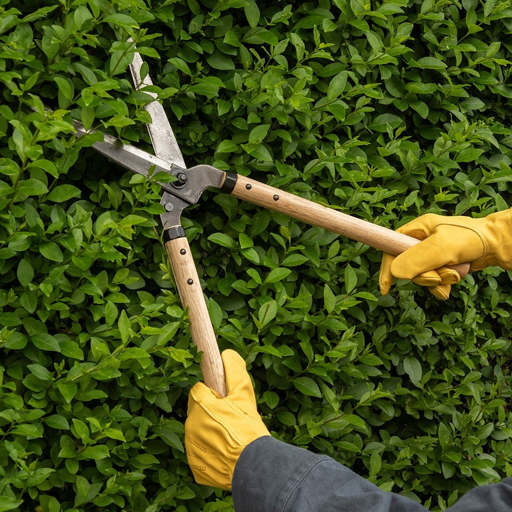 Niwaki garden shears