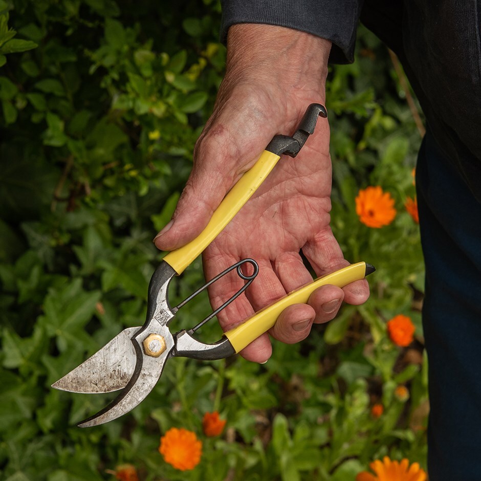 Niwaki GR pro secateurs