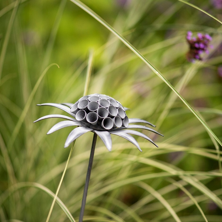 Scabiosa 'deadhead' stake - aged zinc