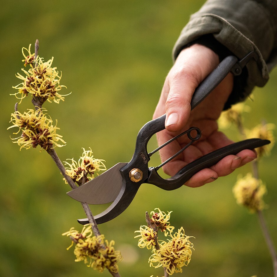 Niwaki Sentei secateurs