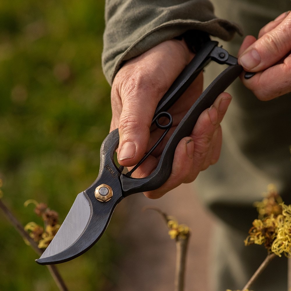 Niwaki Sentei secateurs