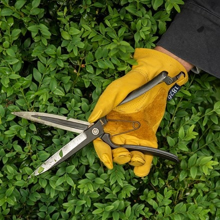 Niwaki Sentei topiary clippers