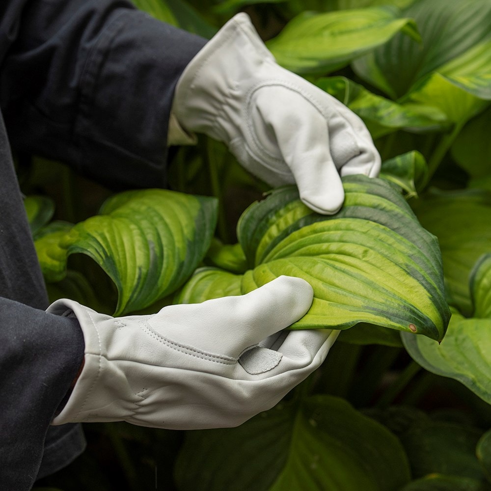 Leather gardening gloves - pearl