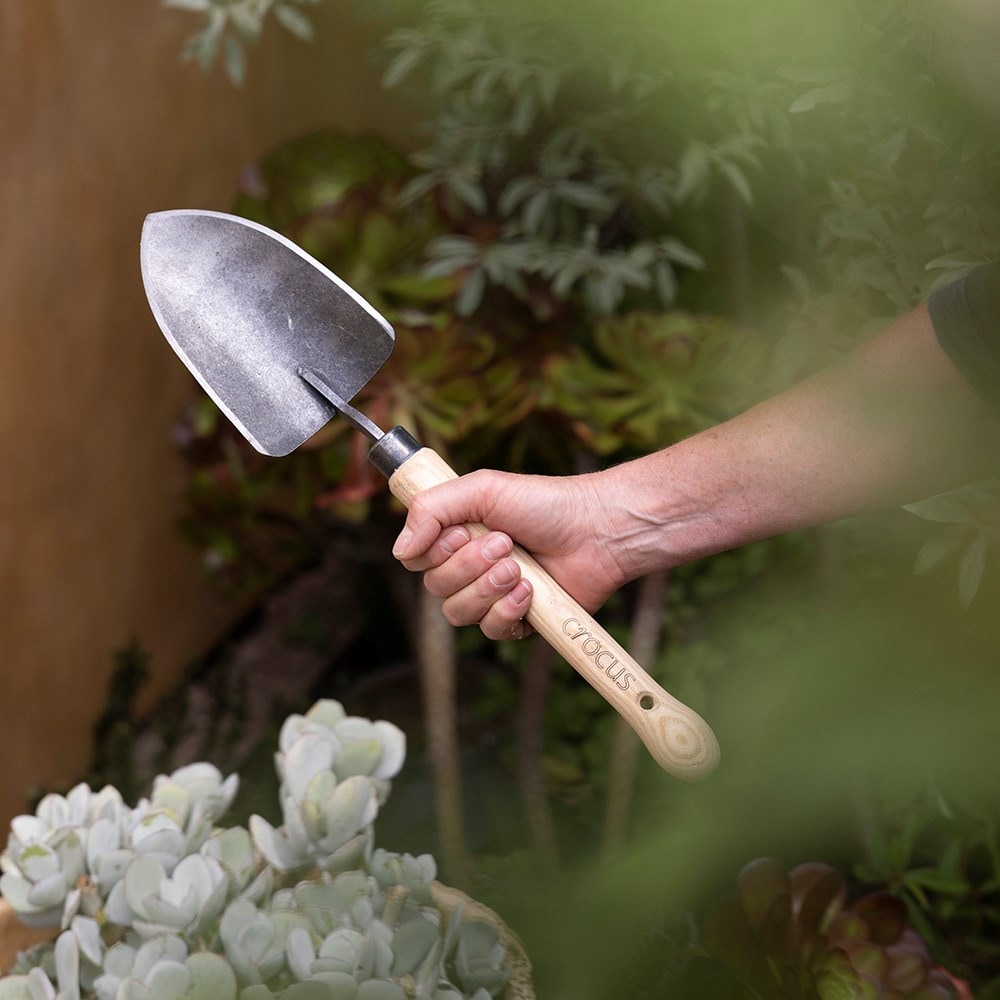 Chelsea planting trowel - Crocus by DeWit