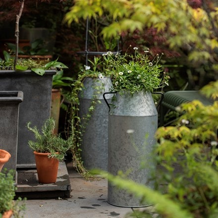 Galvanised metal churn pot with removable liner pot