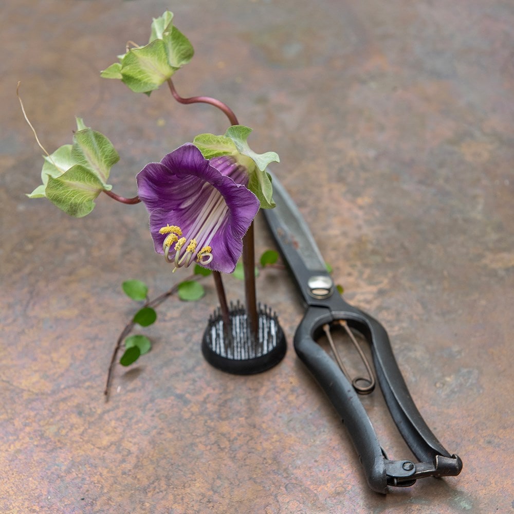 Flower arranging ikebana round kenzan