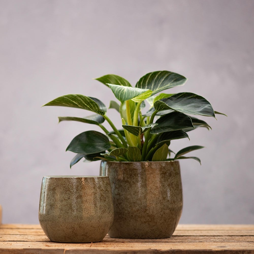 Glazed speckled plant pot - green