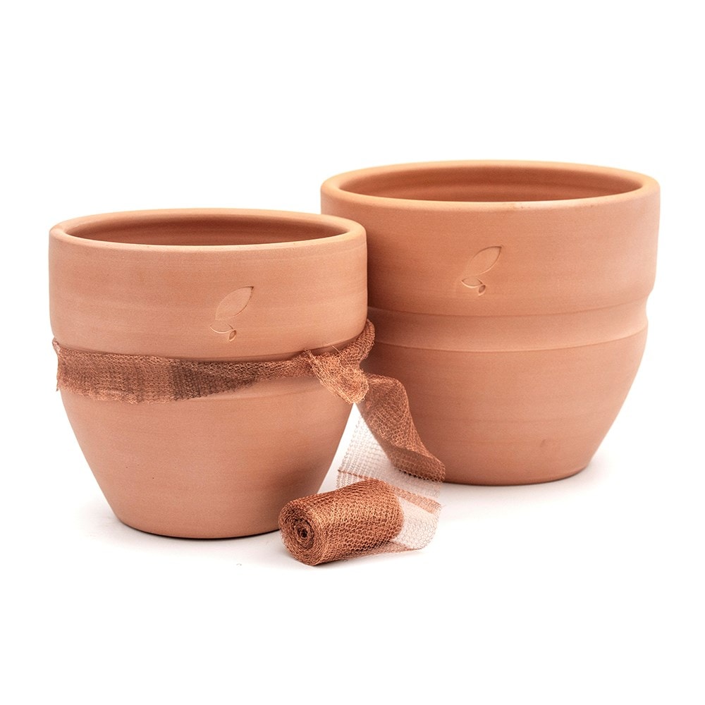 Terracotta slug and snail resistant pot