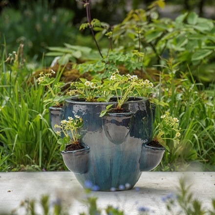 Strawberry planter - reef blue