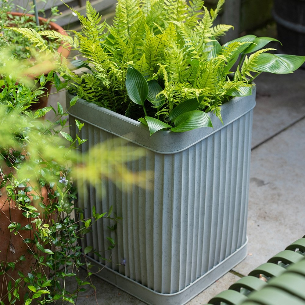 Tall square galvanised metal dolly pot - aged zinc