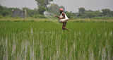 Rabi season fertiliser subsidy of Rs 22,000 crore gets nod