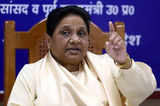 Mayawati promises to work for separate state comprising districts of western UP