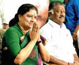 'Time is ripe, my entry has begun,' says Sasikala