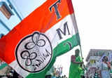 Trinamool neta says no govt schemes for those who voted for BJP