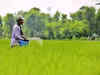 Gujarat Narmada Valley Fert zooms 9% as Q4 profit more than doubles