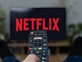 נטפליקס netflix (צילום: MAXSHOT.PL, shutterstock)