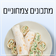 מתכונים צמחוניים