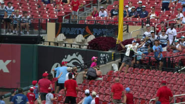 Young fan flashes the leather