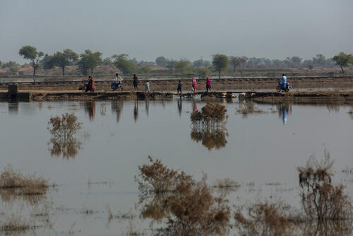 Pakistan floods - North Sindh