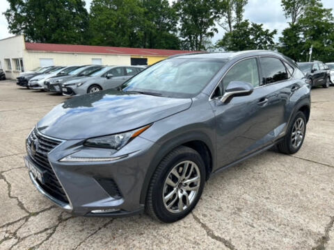 Lexus NX 300h 2WD Pack Business 2019 occasion Évreux 27000