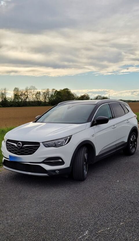 Opel Grandland x Grandland X 1.5 Diesel 130 ch Design Line 2019 occasion Louvemont 52130