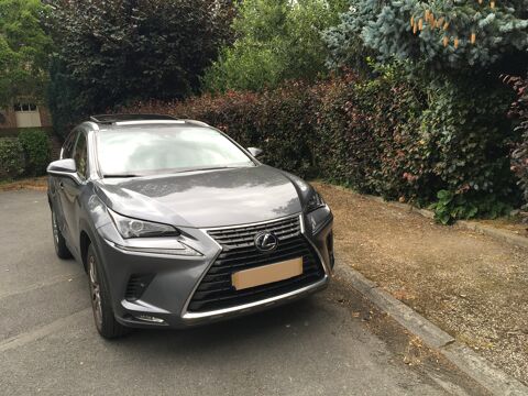 Lexus NX 300h 2WD 2019 occasion Sainghin-en-Mélantois 59262