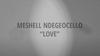 Meshell Ndegeocello – Love