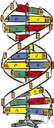 base - a phosphoric ester of a nucleoside