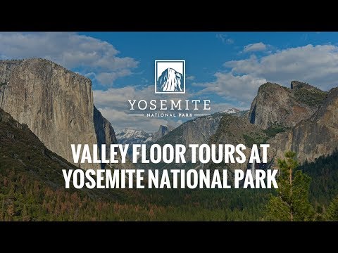 Valley Floor Tours at Yosemite National Park