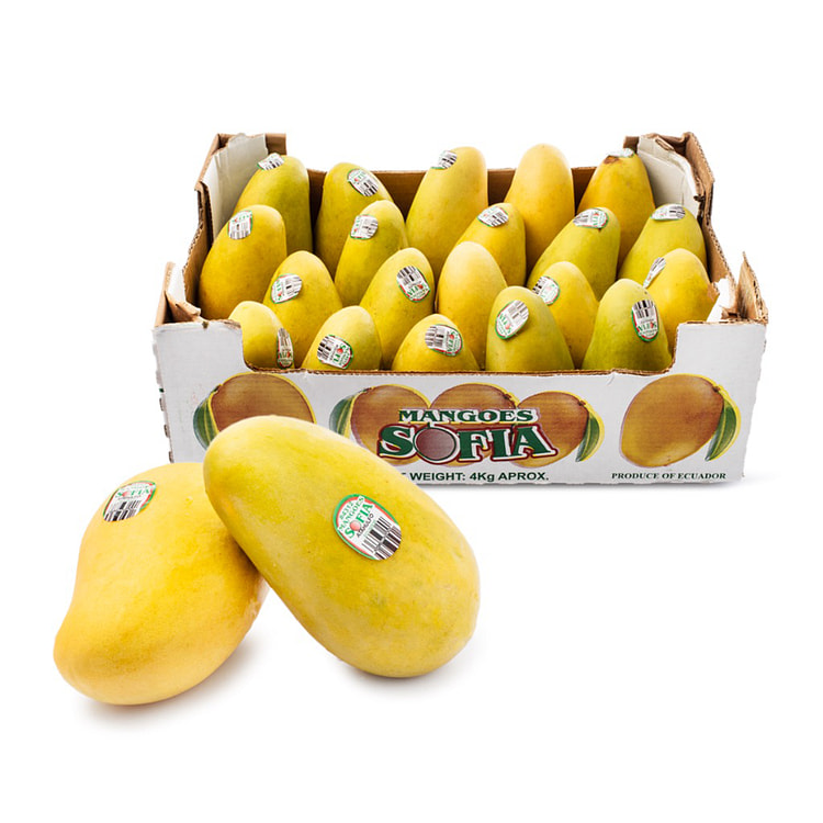 Yellow Mango 1 case