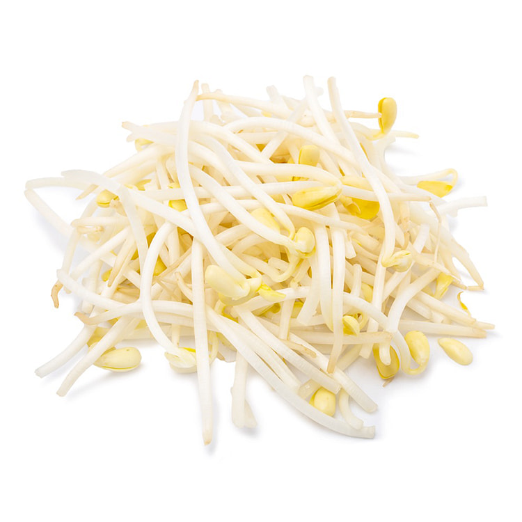 Soy Bean Sprouts